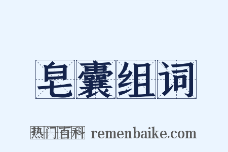 皂囊组词是什么意思的图片